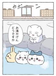 211509 B