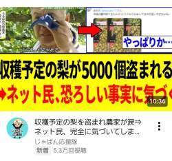380096 B