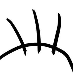 12302 B