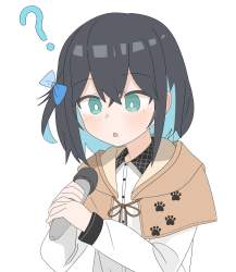 252434 B