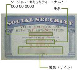 248541 B