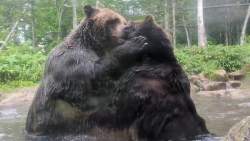 6849871 B