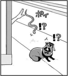74930 B