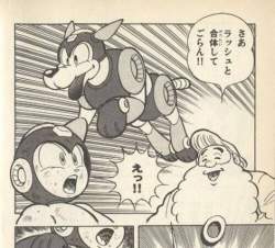 43377 B