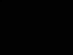 7666585 B