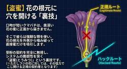 1015879 B