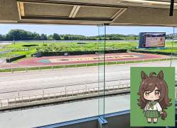 6055871 B