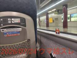 323213 B