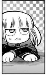 37248 B