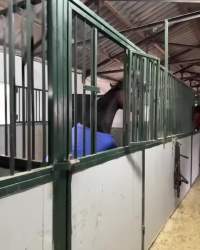 3766734 B