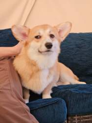 1532371 B