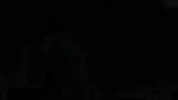 3007684 B
