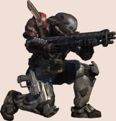 151369 B