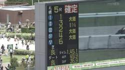 529486 B