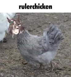162486 B