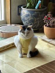 277539 B