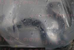 221774 B