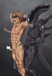 1597331 B