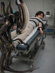 2332174 B