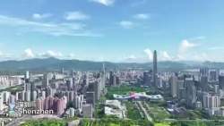 6310024 B
