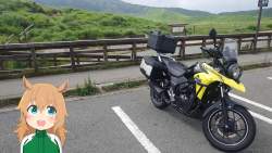 1645979 B