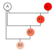 2910 B