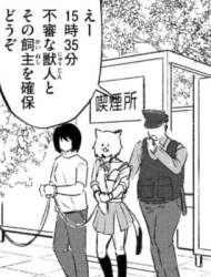 43433 B