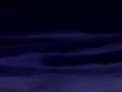 2020007 B