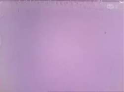 2064438 B