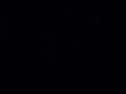 2033401 B
