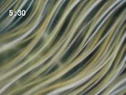 8183016 B