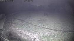 467907 B