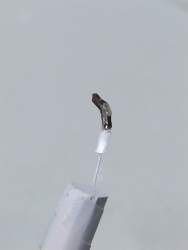 855652 B