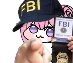 51138 B