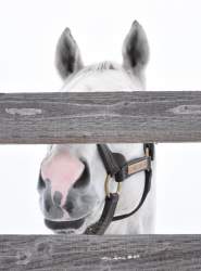 105865 B