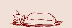 7207 B