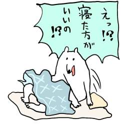 101061 B