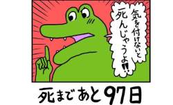 32972 B