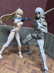 785081 B