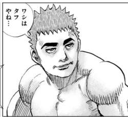 44337 B