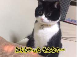 92853 B