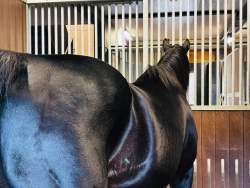 74466 B