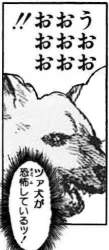 24408 B