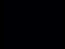 4274938 B