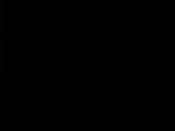 3029017 B
