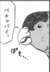 29135 B