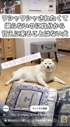 566991 B