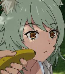 43665 B