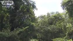 5790920 B