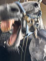 248584 B